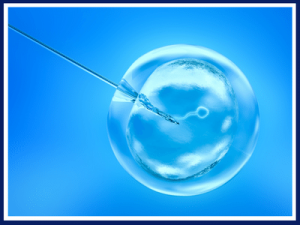 embryologist clinic in india