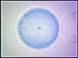 Embryo Freezing in Mumbai